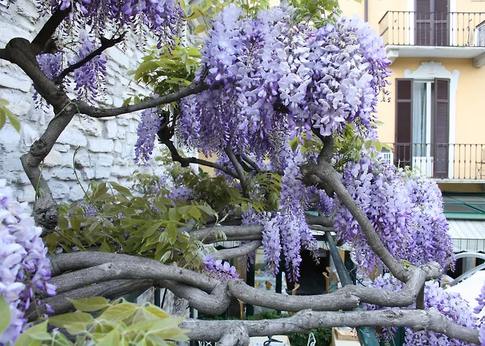 Hotel Posta Moltrasio