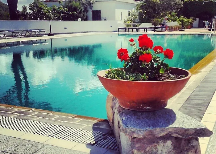 Hotel Al Bosco Forio 