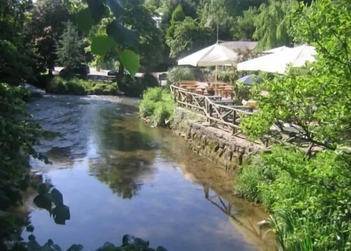 The Waterman'S Arms Bed & Breakfast Totnes