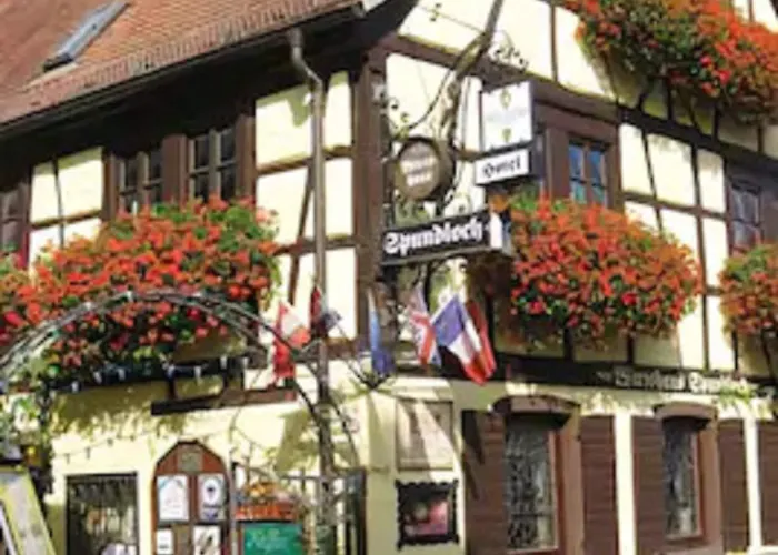 Spundloch- das Hotel&Weinrestaurant Veitshöchheim