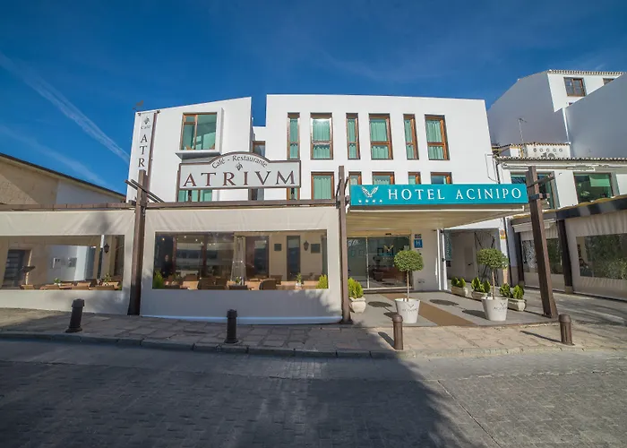 Hotel Acinipo Ronda