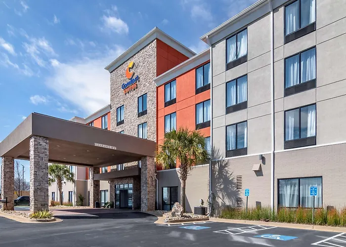Comfort Suites Mcdonough Atlanta South
