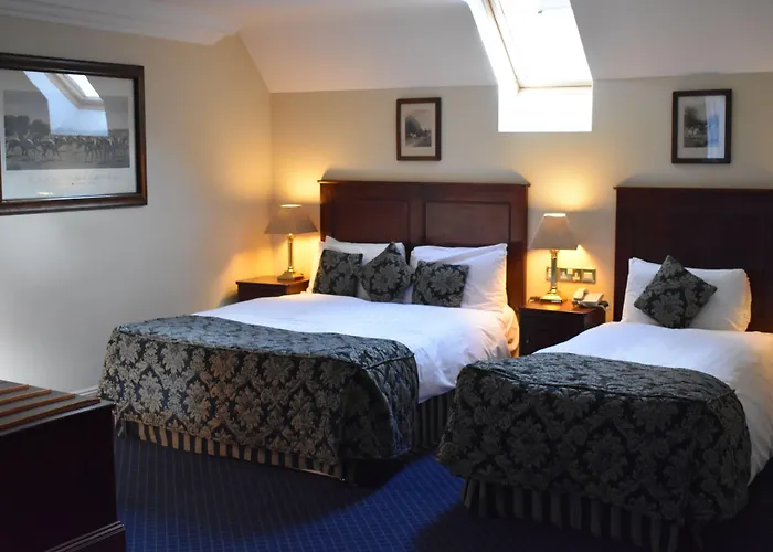 Maudlins House Hotel Naas