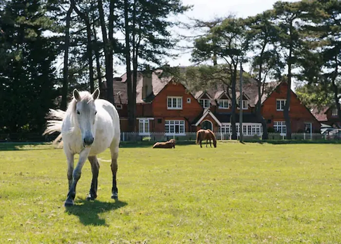 Beaulieu Hotel Lyndhurst