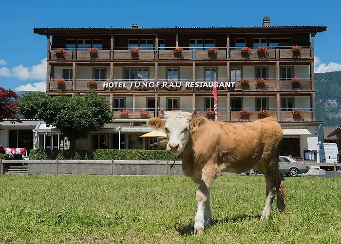 Jungfrau Hotel Wilderswil