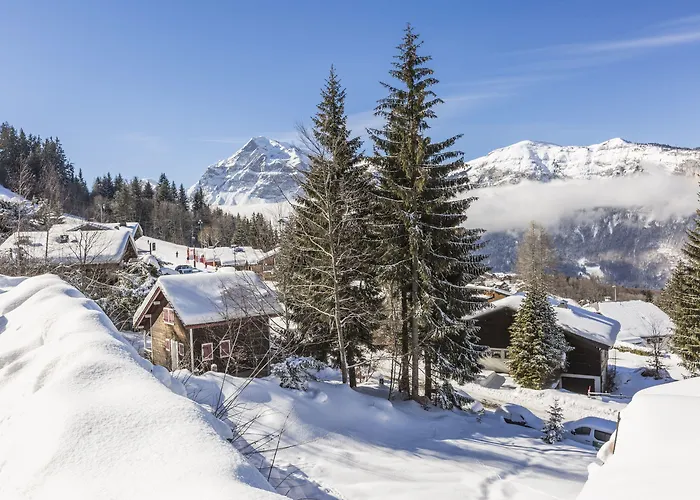 Résidence Odalys Le Front de Neige Les Carroz d'Arâches
