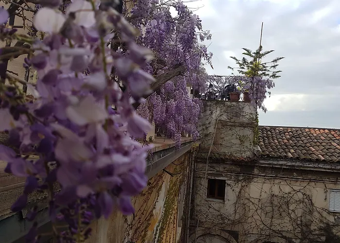 Hotel Biscari Catane