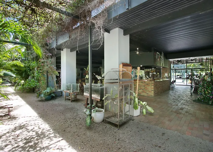 Daintree Wild Bed & Breakfast