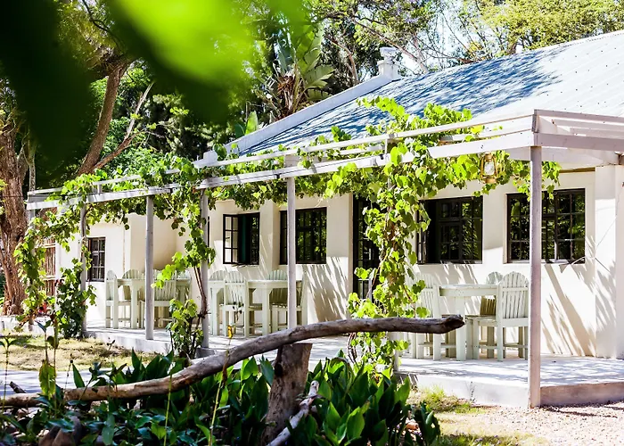 Addo African Home