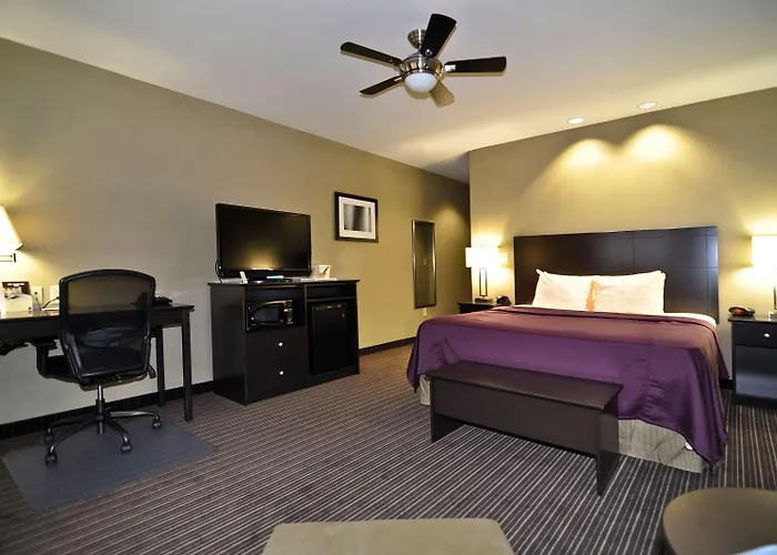 Best Western Giddings Inn & Suites