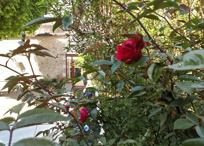 Hotel Teritoria Le Grand Monarque à Azay-le-Rideau