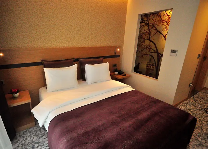 Hotel Osaka Airport Istanboel