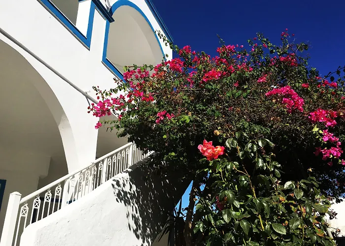 Hotel Lodos Karterados 
