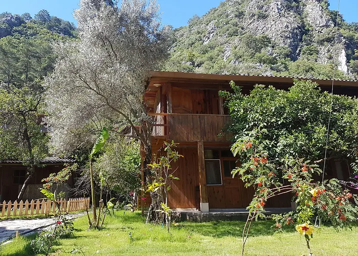Turkmen Tree Houses Olimpos