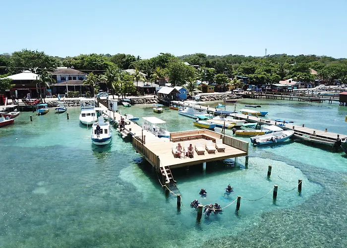Splash Inn Dive Resort & Villas West End