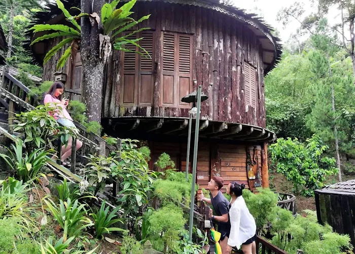Fig Tree Hills Resort Bayan Lepas
