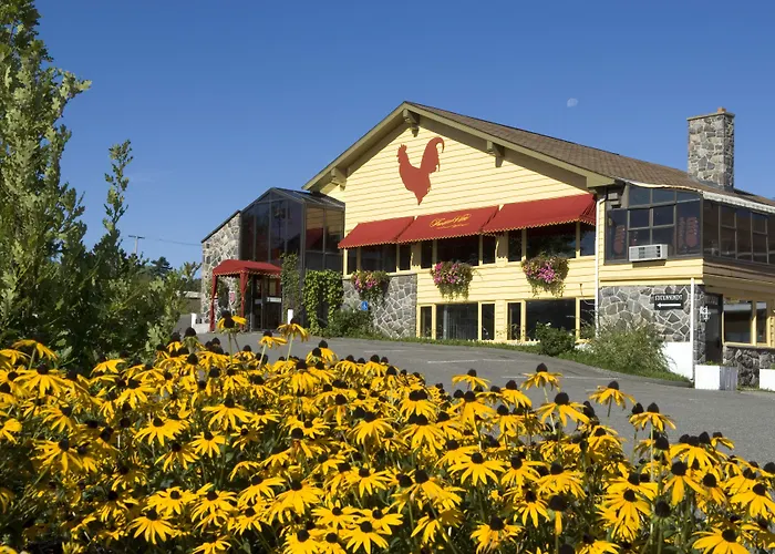 Hotellerie Jardins De Ville Sherbrooke