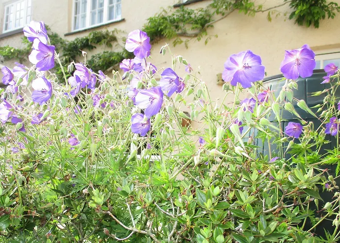 Brambles Bed And Breakfast Tiverton 