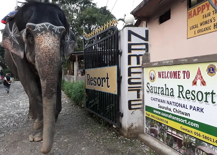 Sauraha Resort
