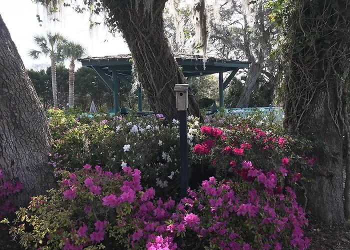 Steinhatchee River Inn And Marina