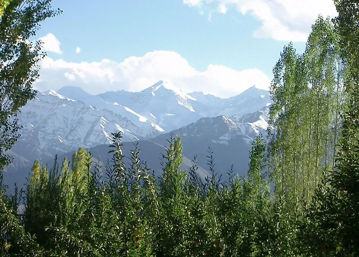 Hotel Shambhala Leh