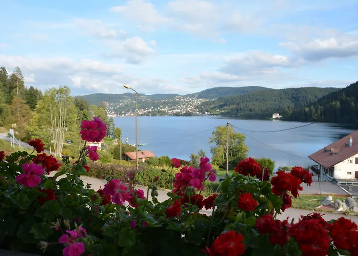 Les Reflets du Lac Gérardmer