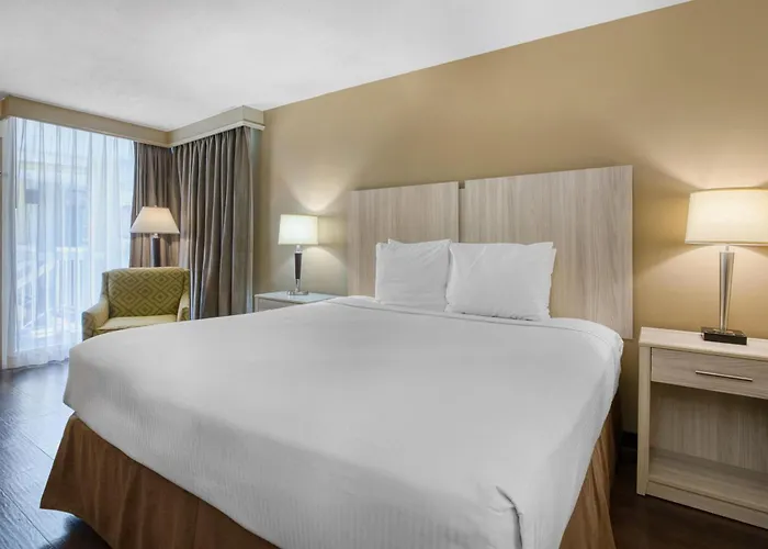 Best Western Battlefield Inn Manassas