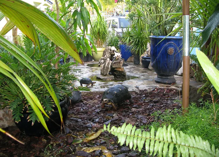 Azure Hotel And Art Studio Simpson Bay