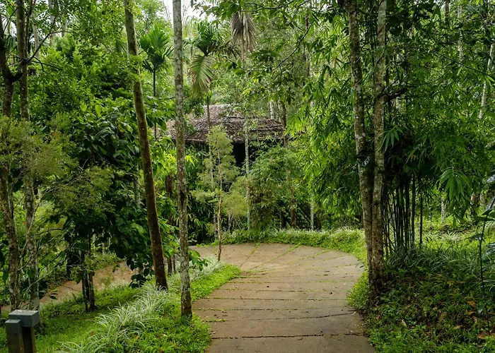 The Woods Resorts Wayanad Sultan Bathery