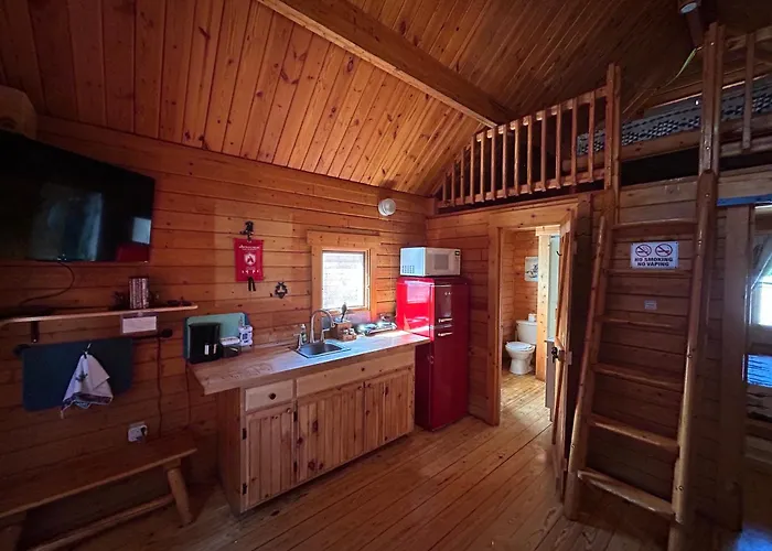 Katie'S Cozy Cabins Tombstone