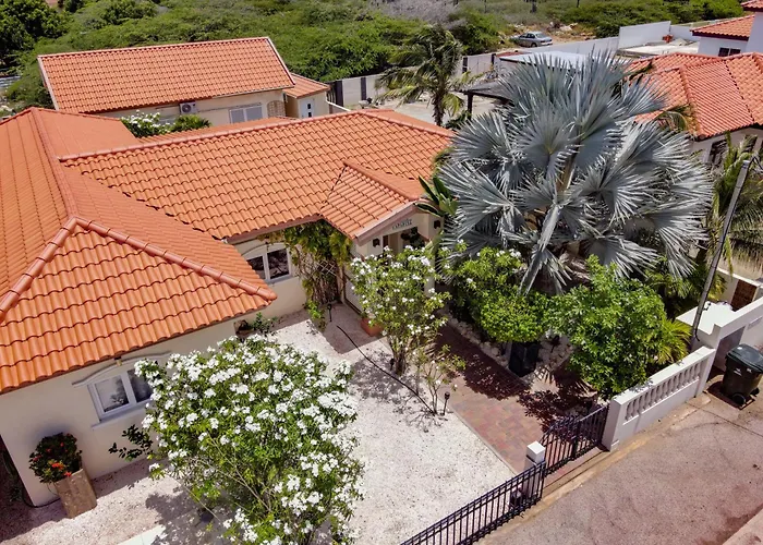 Boutique Hotel Swiss Paradise Aruba Villas And Suites Palm Beach