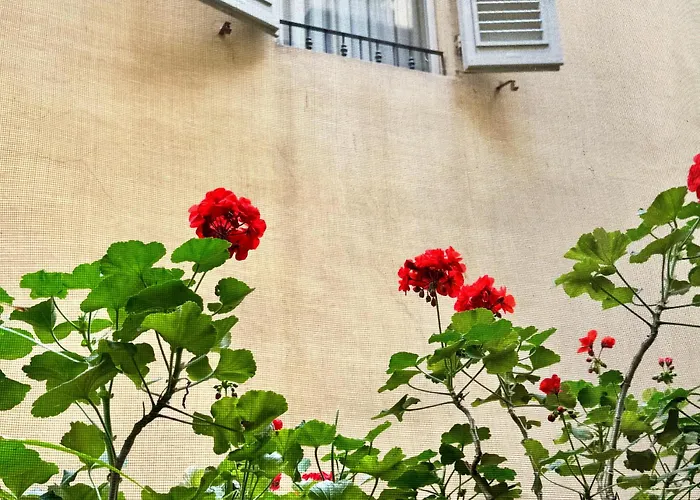 Hotel Cestelli Florencia