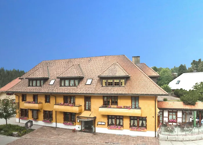 Bio- Und Wellnesshotel Alpenblick Hoechenschwand