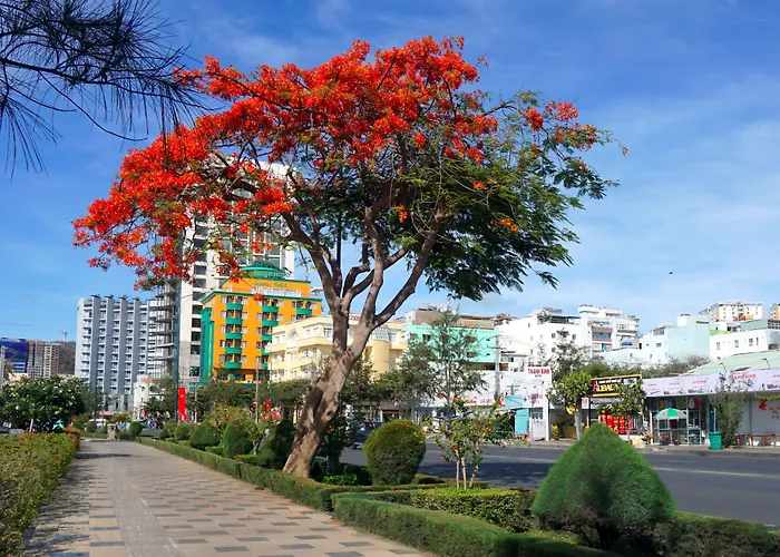 Green Hotel Vung Tau