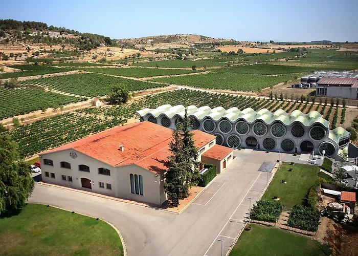 Mastinell Cava & Boutique Hotel By Olivia Hotels Collection Vilafranca del Penedès