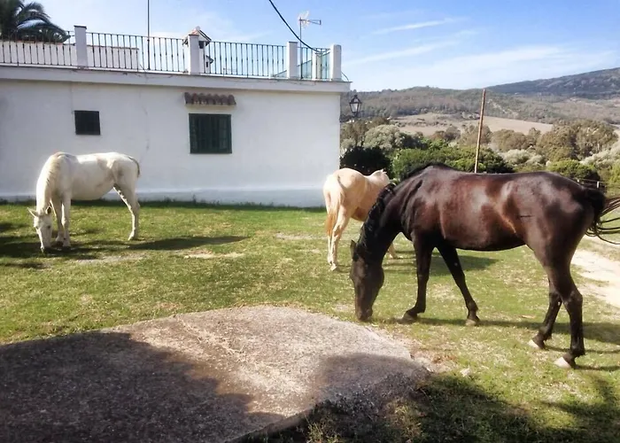 Hotel-Apart Cortijo Las Pinas Tarifa