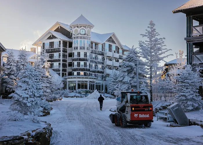 Allegheny Springs Snowshoe