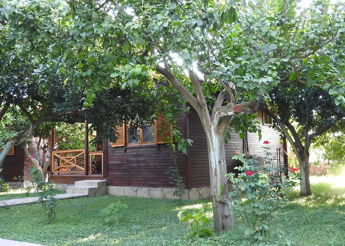 Mercan Bungalow Cirali