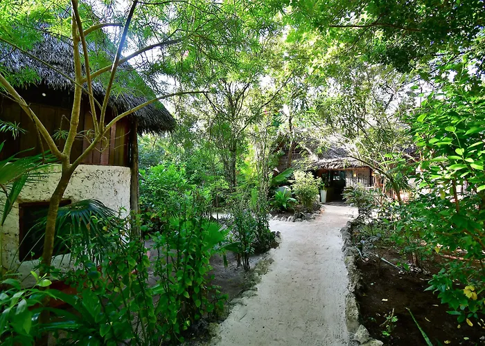 Bed and Breakfast Bellevue Zanzibar à Paje