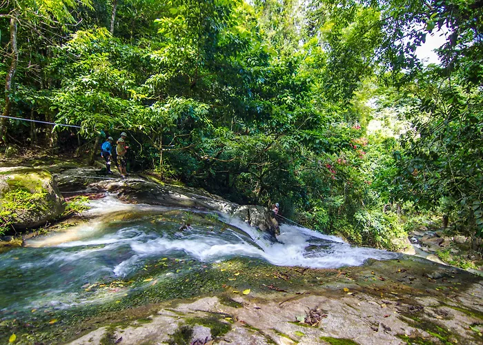 Bocawina Rainforest Resort Hopkins