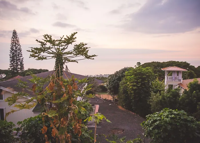 Kona Hawaii Guest House A Unique Hawaii Experience Keauhou