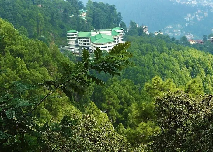 Hotel Ck International Shimla