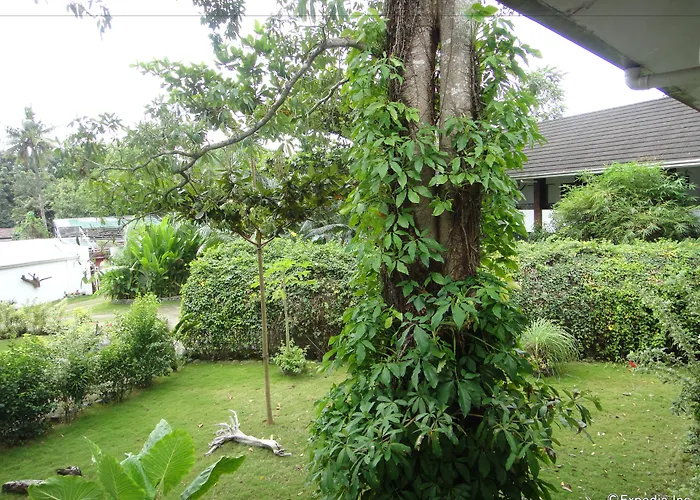 Balay Tuko Garden Inn Puerto Princesa