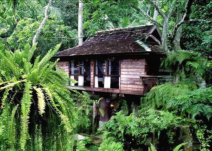 Fern Paradise Chiang Mai