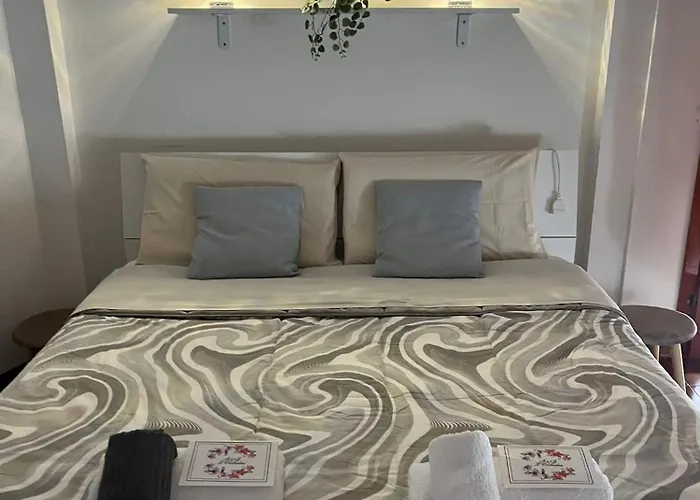 B&B L'Orchidea Pisa