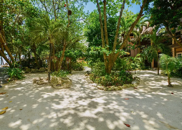 Xanadu Island Resort San Pedro 