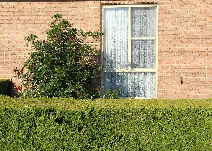 Motel 359 Tamworth