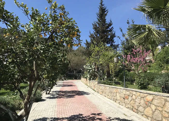 Pitahaya Home Hotel Göltürkbükü