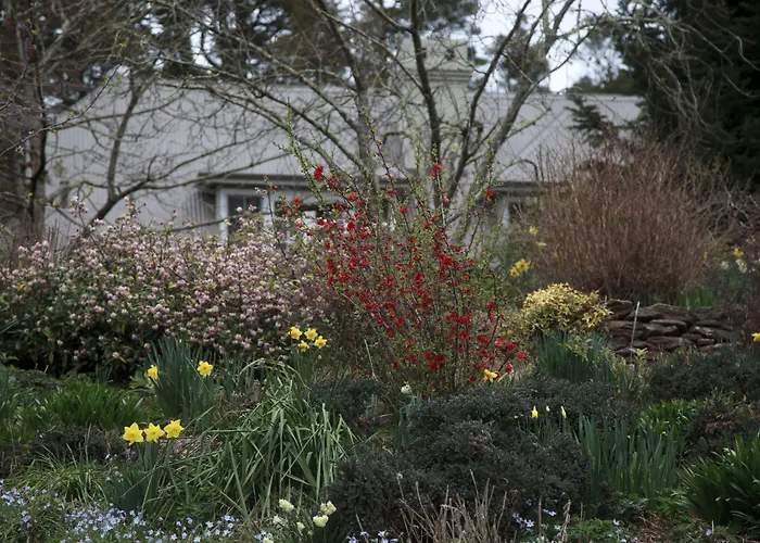 Parklands Country Gardens & Lodges Blue Mountains Blackheath