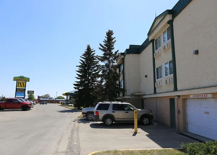 Tamarack Motor Inn Rocky Mountain House